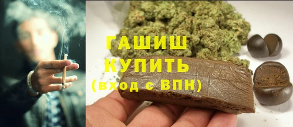 сатива Армянск