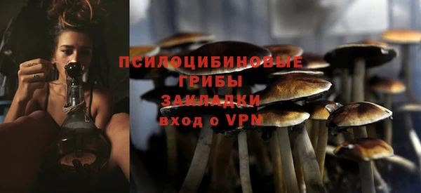 кокс Арсеньев