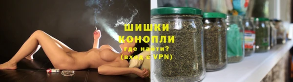 кокс Арсеньев
