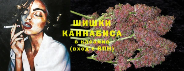 кокс Арсеньев