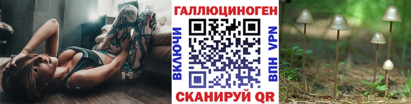 Галлюциногенные грибы MAGIC MUSHROOMS  где найти   Заполярный 